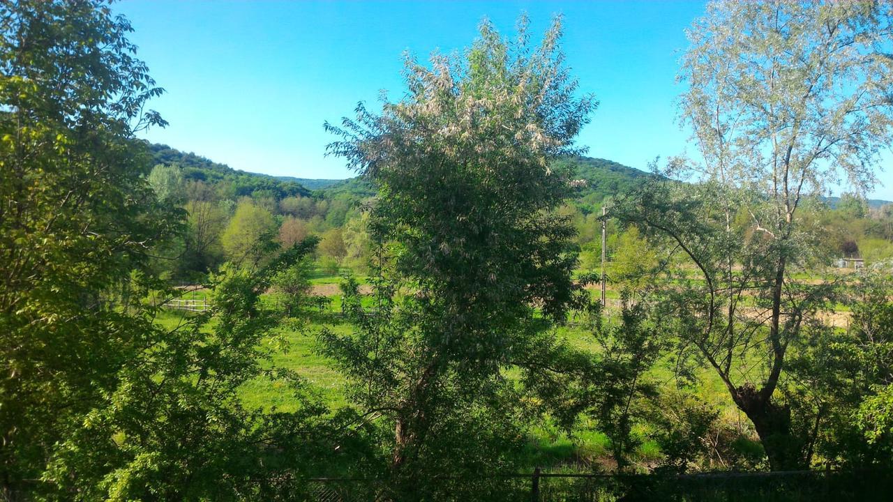 Pensiunea Casa Ghica Valea Sălciilor Eksteriør billede